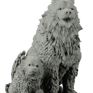 Cães Finnish Lapphund